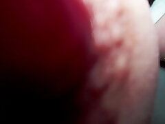 Creampie for Miss Creampie