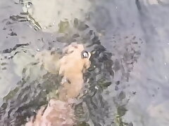 Onsen Girl Nacchi's Bath Time Beauty